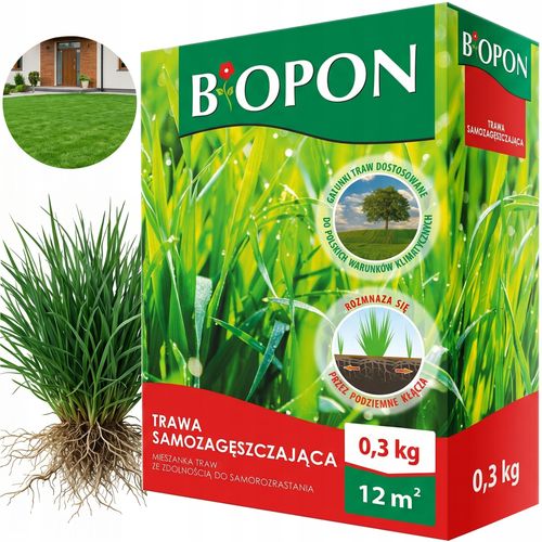 BOPON - Trawa Samozagęszczająca 12 m² - 0,3 kg na Arena.pl