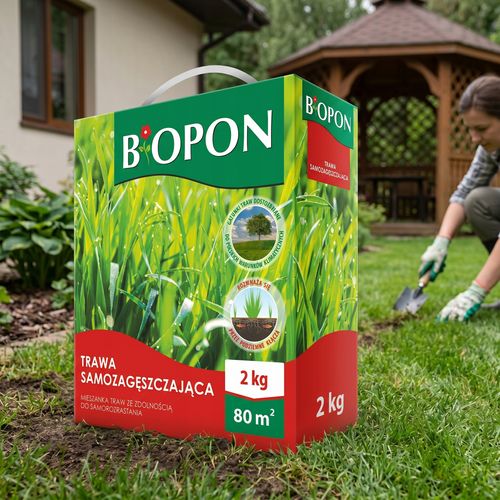 BOPON - Trawa Samozagęszczająca 80 m² - 2 kg na Arena.pl