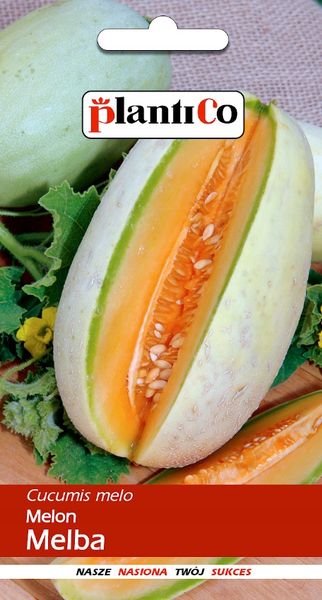 NASIONA Melon Melba 1g PLANTICO 401952 zdjęcie 1
