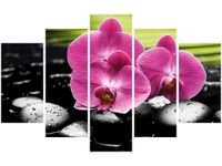 70 100CM OBRAZ 5 ELEM STORCZYKI KAMIENIACH DRUK PŁÓTNO