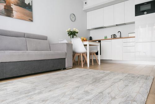 Dywan Agnella Magic 80x150 Fordo Alabaster na Arena.pl