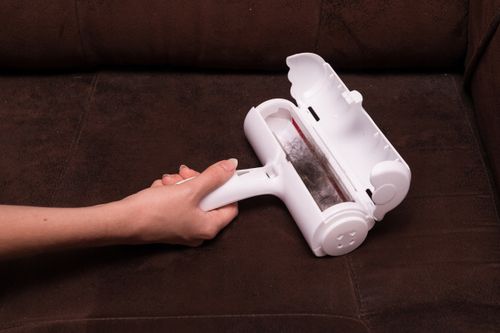 SZCZOTKA DO USUWANIA SIERSCI na Arena.pl