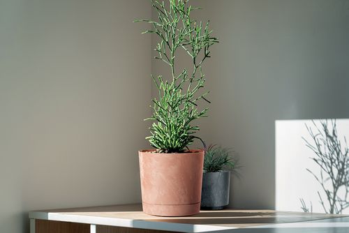 Doniczka okrągła Tubo Effect 240E + podstawka 8l na Arena.pl