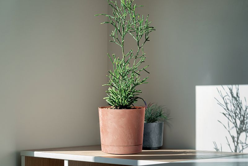 Doniczka okrągła Tubo Effect 240E + podstawka 8l zdjęcie 2