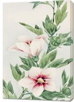 Obraz 70x100cm Hibiscus, Morikaga Japoński Vintage do Salonu