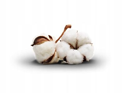 kołdra 220x240 bawełniana ecotton BIO całoroczna na Arena.pl