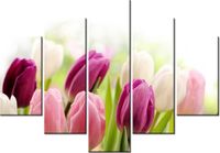 105CM 150CM OBRAZ 5 ELEM SOCZYSTE TULIPANY DRUK