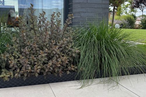 Palisada RATTAN 80 cm czarny (black) na Arena.pl