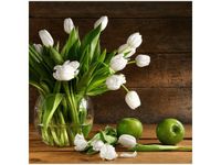 product-compare-58650390