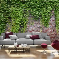 product-compare-63666884