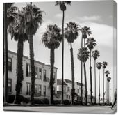 Obraz 100x100cm Spacer w Cieniu Palm