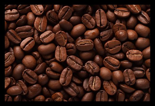 Plakat 30x20cm Esencja Aromatu na Arena.pl