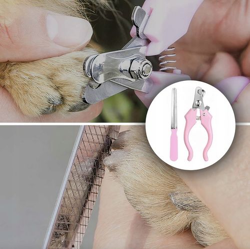 MASZYNKA DO STRZYŻENIA PSÓW PSA GOLARKA ZESTAW 11e na Arena.pl