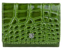 Portfel damski Miley - Stefania Zielony