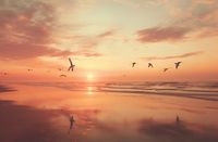 Plakat 91,5x60cm Spokojna Przystań