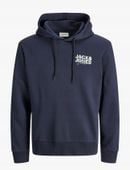 Jack & Jones JJGEPLAS SWEAT HOOD LN - Bluzy z kapturem