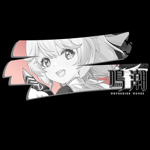 Koszulka Czarna Wuthering Waves - WYBIERZ FASON I KOLOR KOSZULKI Męska XL na Arena.pl