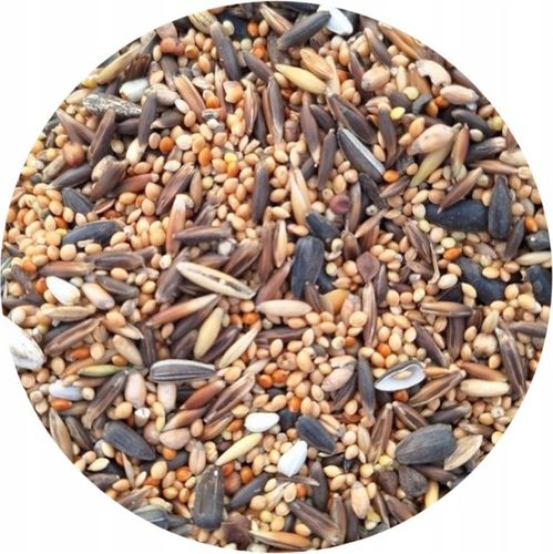 Pokarm dla ptaków dzikich orzechowy karmnik słonecznik 10kg GRATIS KULA na Arena.pl