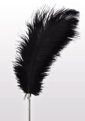 feather tickler black na Arena.pl