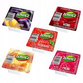 Łowicz Dżem o smaku Owocowy mix 5 smaków 125g