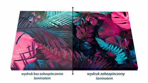 OBRAZ NA PŁÓTNIE Szop 30x30cm na Arena.pl