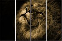 product-compare-58698783