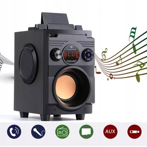 Głośnik Przenośny Feegar Showjet + Mikrofon na Arena.pl