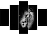 OBRAZ DUCH MROK LEW CIEŃ CZARNO-BIAŁY