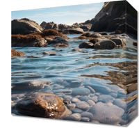 product-compare-59467225