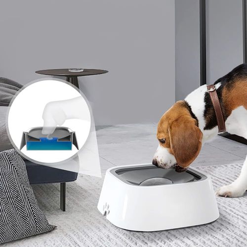 Miska niechlapiąca dla psa na Arena.pl