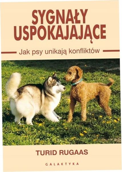 Sygnały uspokajające. Jak psy unikają konfliktów zdjęcie 1