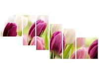 100CM 220CM OBRAZ 6 ELEM SOCZYSTE TULIPANY ŚCIENNY