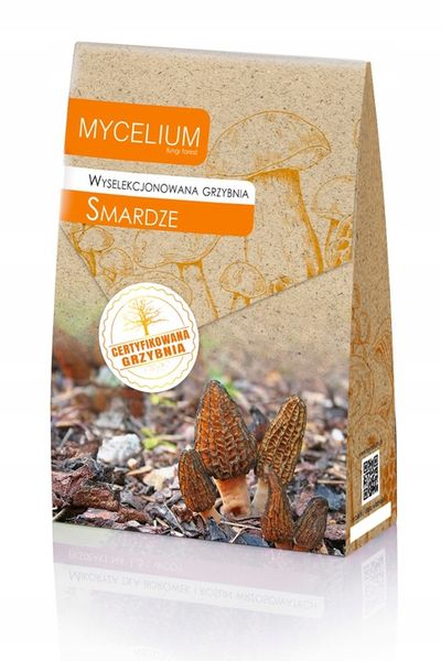 SMARDZE certyfikowana grzybnia zdjęcie 2