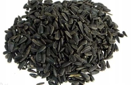 Słonecznik czarny dla gołębi ptaków ziarno zboże karma pasza 1kg na Arena.pl