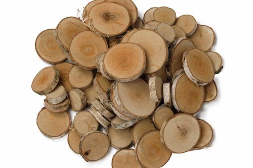 Plastry drewniane, plaster drewna, 3-9 cm - 1 kg wysuszone krążki brzozowe na Arena.pl