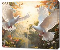 product-compare-59489179