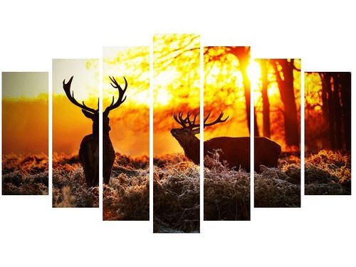 80CM 140CM OBRAZ 7 ELEM RYKOWISKO ŚCIENNY na Arena.pl