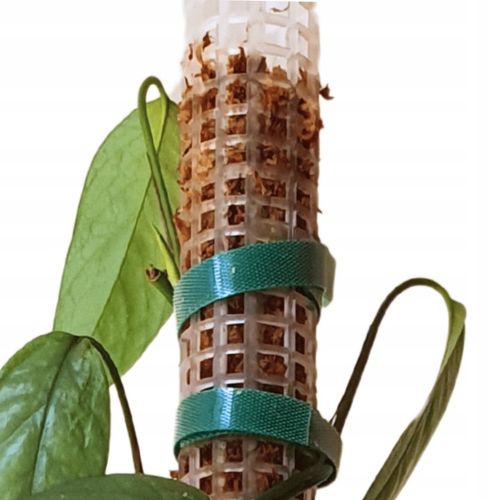 Podpora do roślin pnączy do mchu Sphagnum Palik Tyczka Do Epipremnum na Arena.pl