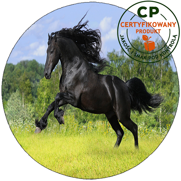 Opłatek na tort Konie zdjęcie 1