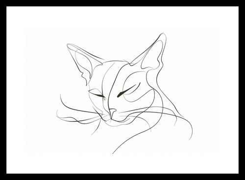 Plakat 30x20cm Linijny Kot na Arena.pl