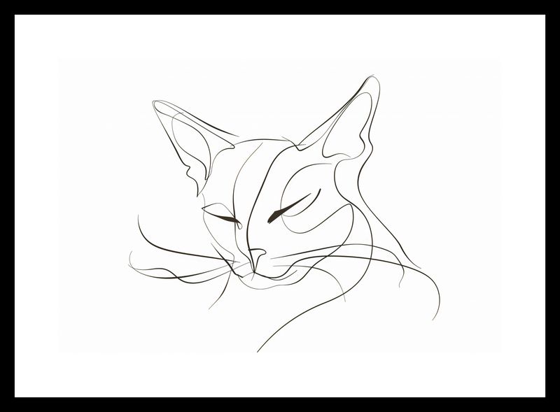 Plakat 30x20cm Linijny Kot zdjęcie 3