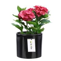 Doniczka osłonka ceramiczna Ø 13,5cm H 12,5cm kolor Czarny połysk