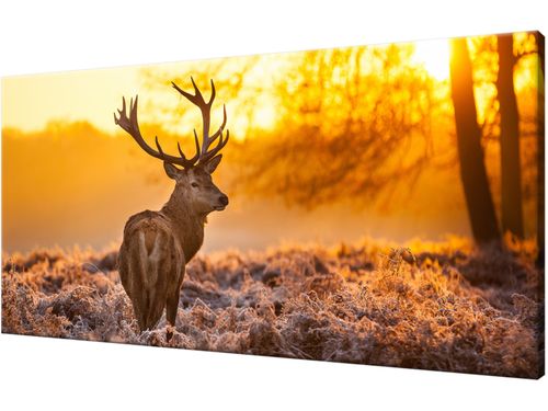 Obraz drukowany płótno 115x55cm Modne DUŻO WZORÓW na Arena.pl