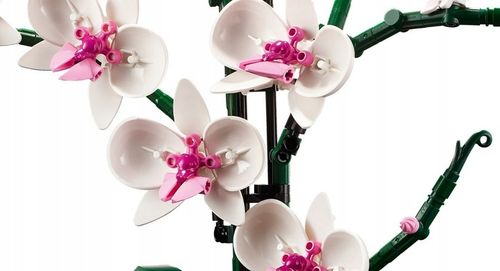LEGO Creator Orchidea 10311 na Arena.pl