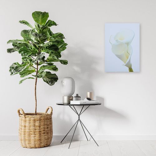 Deco Panel, Kwiat koloru białego 40x50 na Arena.pl