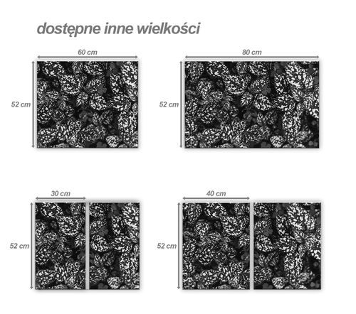 SZKLANA DESKA NA KUCHENKĘ 2x30x52 013C MONO LIŚCIE na Arena.pl