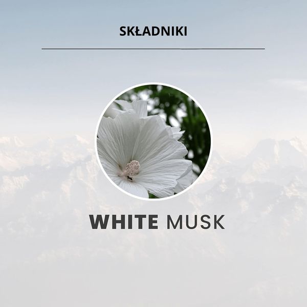 Tesori D`oriente Perfumy Do Prania Muschio Bianco zdjęcie 9