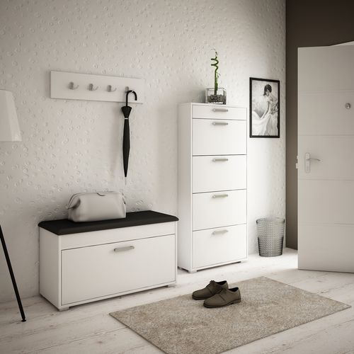 szafka na buty FALA 1 BIAŁA SZARA półka kuferek producent 80 na Arena.pl