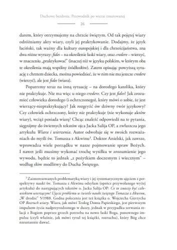 Duchowe bezdroża. Przewodnik po wierze zmutowanej na Arena.pl