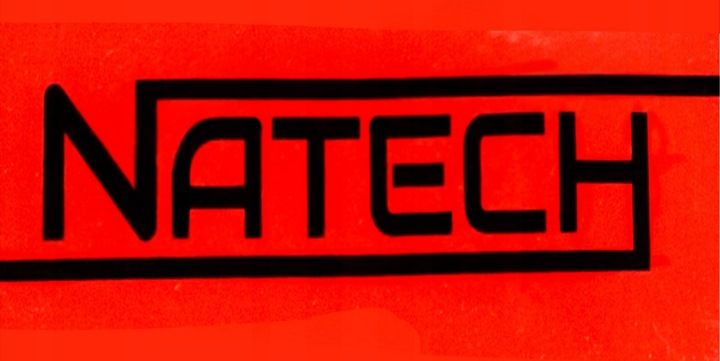 PIŁA AKUMULATOROWA ELEKTRYCZNA RĘCZNA MINI 6'' 2x AKUMULATOR + 2x ŁAŃCUCH zdjęcie 2